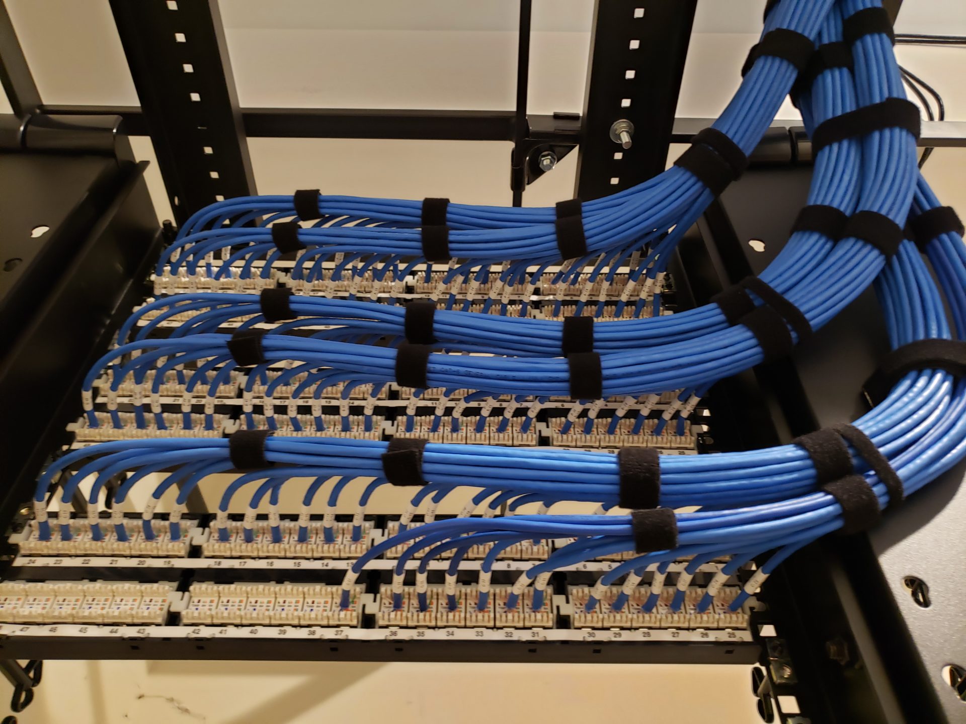 Organized blue Cat6 cables terminated on labelled patch panels inside a network rack